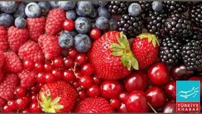 Useful Fruits That Help Overcome Daily Fiber Deficiency