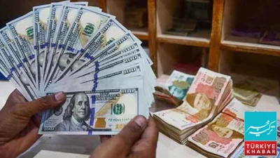 Overseas Pakistanis’ Remittances Surge by 17%