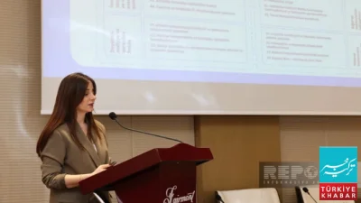 Azerbaijan: Insurance Fund Investment Yields Higher Profits