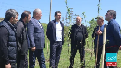 Tree-Planting Campaign in Khojaly on the 103rd Birthday of National Leader Heydar Aliyev