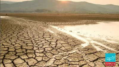 World Day to Combat Desertification and Drought Observed Worldwide, Including Azerbaijan