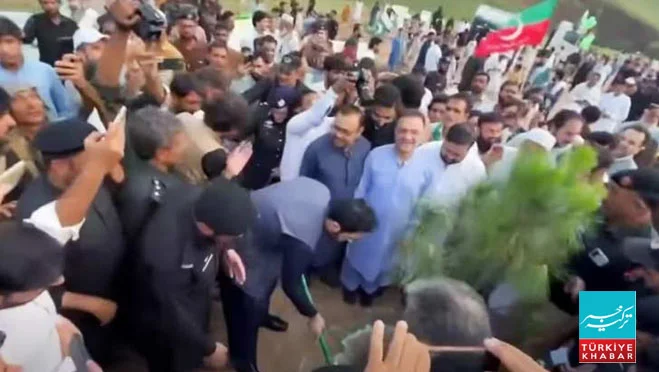 جشنِ آزادی پر خیبرپختونخوا میں میگا شجرکاری مہم کا آغاز