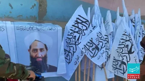 Taliban Government Lacks Public Support, Afghan Envoy Raises Concerns at UN