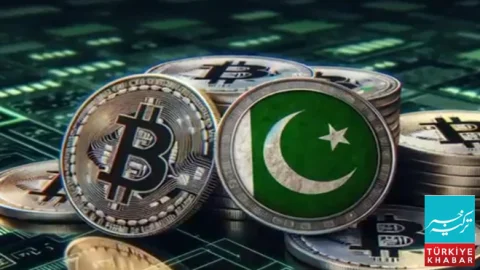 پاکستان عالمی ڈیجیٹل مالیاتی نظام کی تشکیل میں فعال کردار ادا کرے گا: بلال بن ثاقب