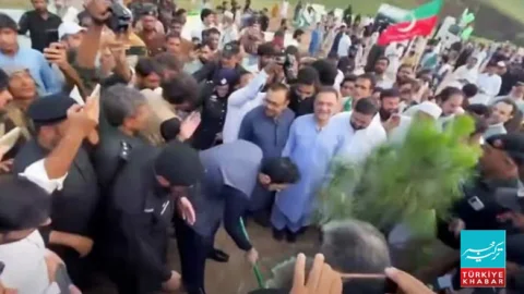 جشنِ آزادی پر خیبرپختونخوا میں میگا شجرکاری مہم کا آغاز